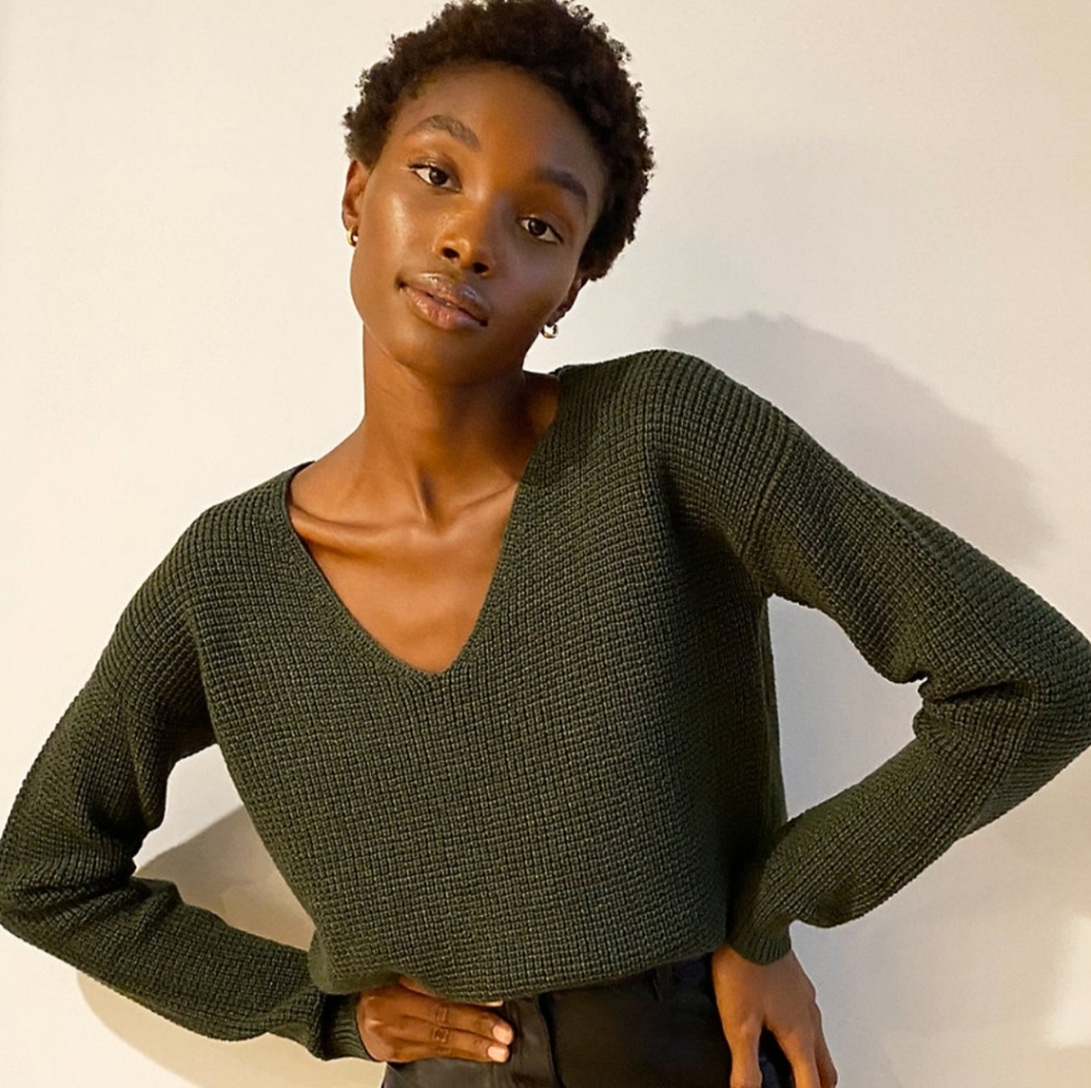Aritzia Wilfred Free Wolter Sweater